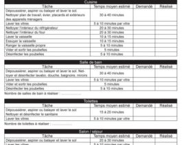 Bloc ménage – repassage « descriptif des tâches confiées » (2018) – Réf. 85-501
