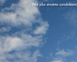 Carte de condoléances personnalisée ciel – Réf. 85-513